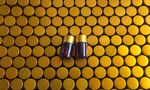 大健康產(chǎn)品代加工怎么樣-有哪些項目-健之源